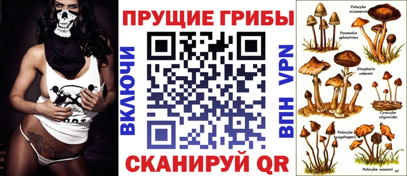 Галлюциногенные грибы Psilocybine cubensis  Ржев 